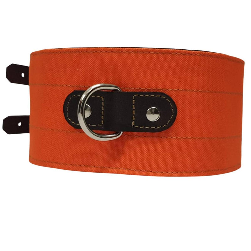 Collar para perro multicapa protección para Perro de Agarre, rehalas con piquete 10 cm ancho