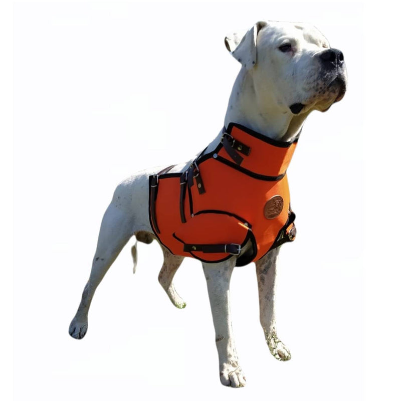Chaleco con collar extra protección para perro de caza jabalí fabricado en material multicapa muy resistente Talla M