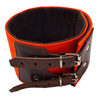 Collar para perro multicapa protección, para perros de Rehalas 10 cm ancho