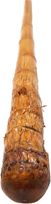 Vara de junco con porra 150 cm largo