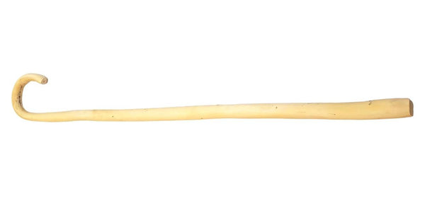 Bastón de Madera de Almez, 90 cm de largo.