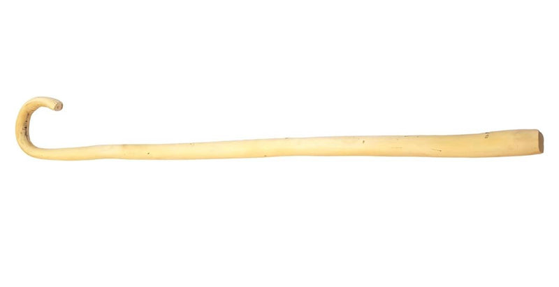 Bastón de Madera de Almez, 90 cm de largo.