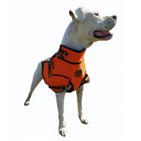 Chaleco con collar extra protección para perro de caza jabalí fabricado en material multicapa muy resistente Talla L