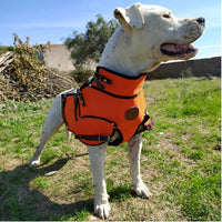 Chaleco con collar extra protección para perro de caza jabalí fabricado en material multicapa muy resistente Talla M